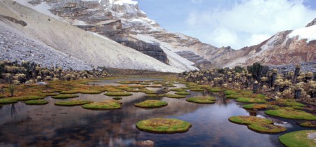 Parque Nacional Natural Cocuy 